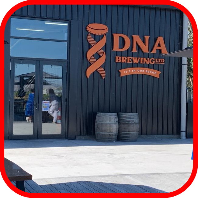 *👍DNA NZ's CHOICEST BREWERY 2x500ml + 10x440ml!