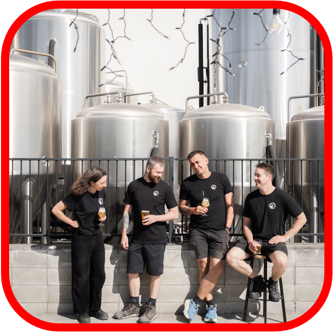 *šMount Brewing 30 Years Celebration 24x330ml!!!