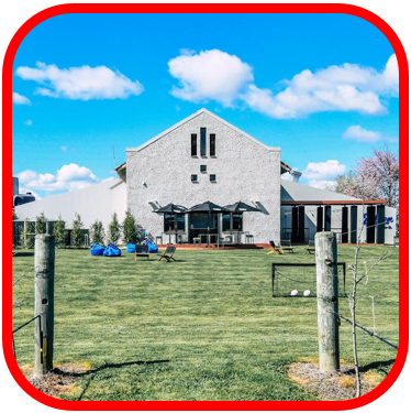 *🍋Zeffer Hard Lemonade 12x440ml!