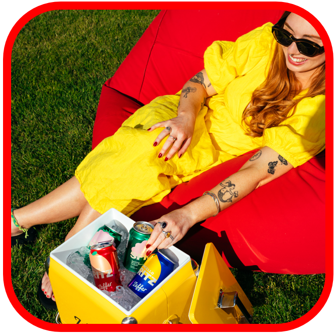 *🍋Brand NEW Zeffer Spritz Mixed 24x 330ml!