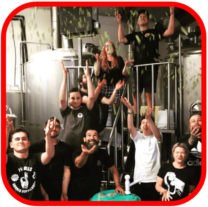 *š„North End Exclusive 4x 440ml + 8x 330ml!