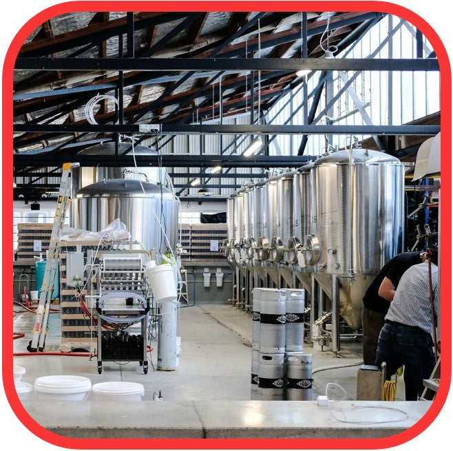 *☮️Brothers Peacenik Pilsner Clearance 24x 330ml!
