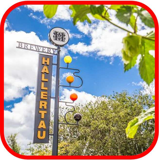 *🤓Hallertau BIG, DARK & HOPPY 6x440ml + 6x330ml!