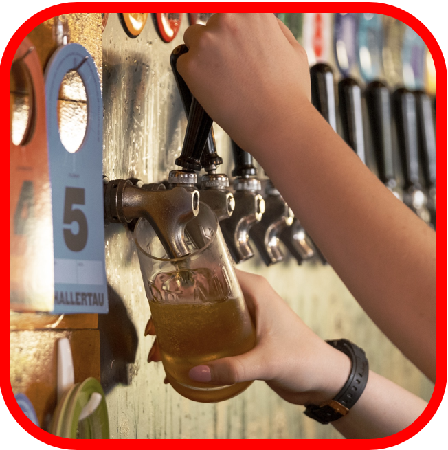 *💥Hallertau FRUIT BOMB Explosion 12x440ml!