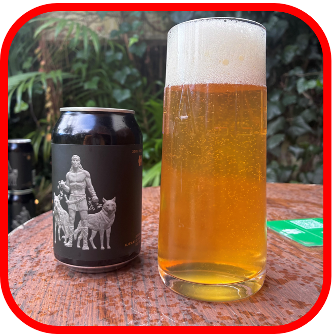 *🔥Hallertau Maximus XX WCIPA 6.8% 12x330ml!