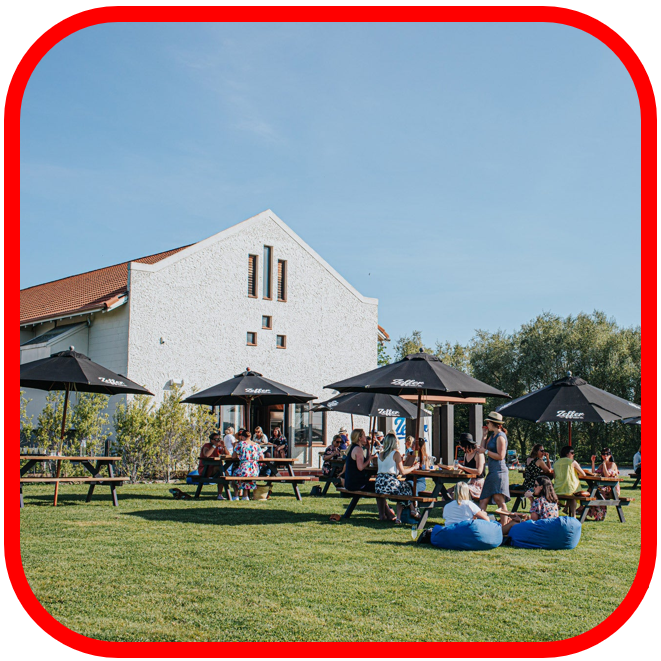 *🍋Zeffer EOFY CHILLER CLEARANCE 24x 330ml!